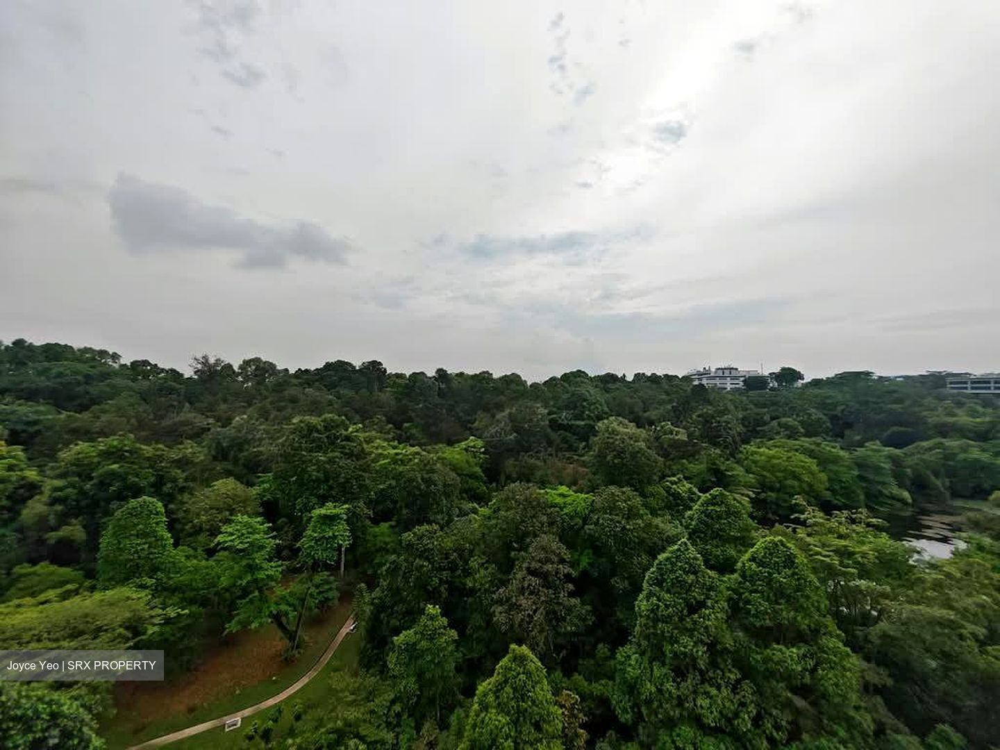 Normanton Park (D5), Apartment #553987501